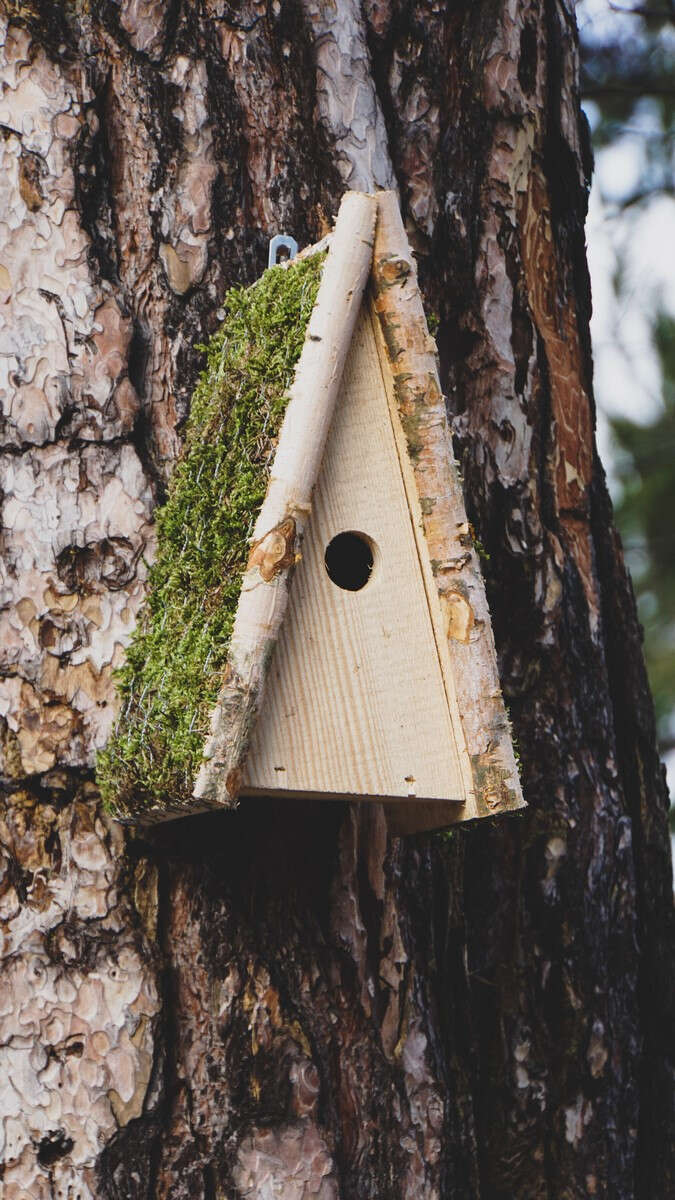 PATKAR Nistkasten Birke